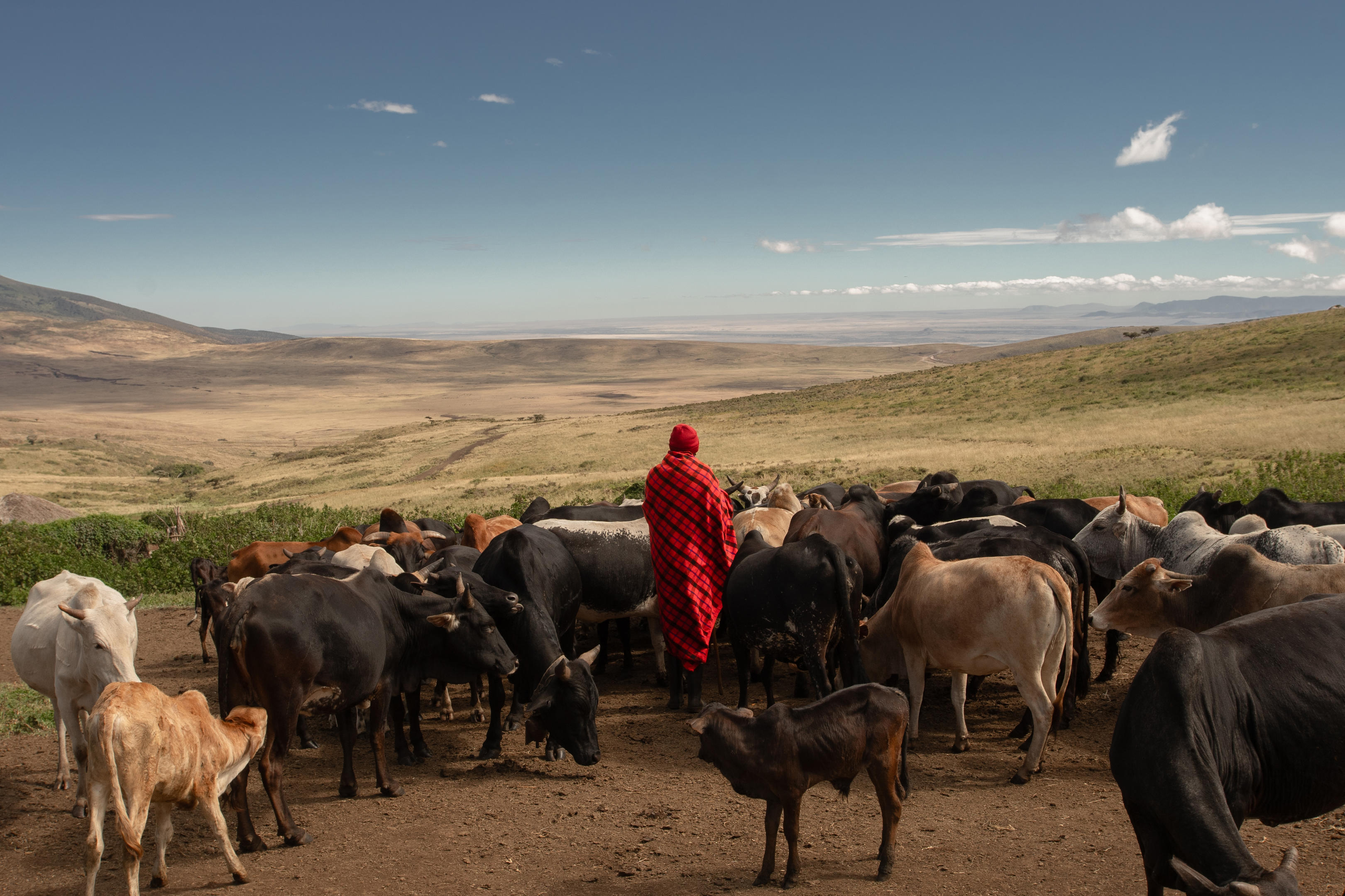 Maasai community visit in the Ngorongoro area