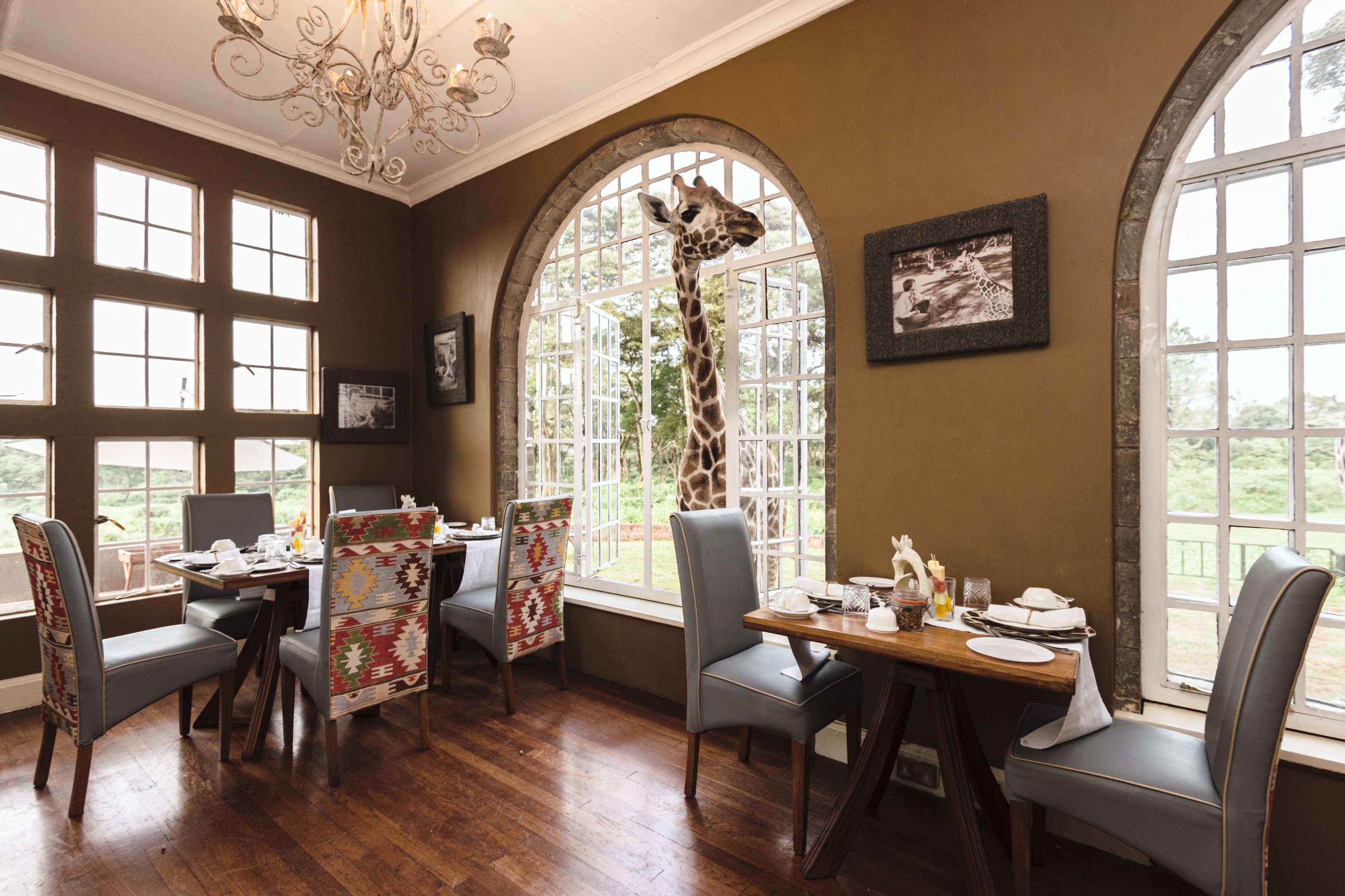 Giraffe Manor in Nairobi at the beginning of this Tanzania and Rwanda luxury safari