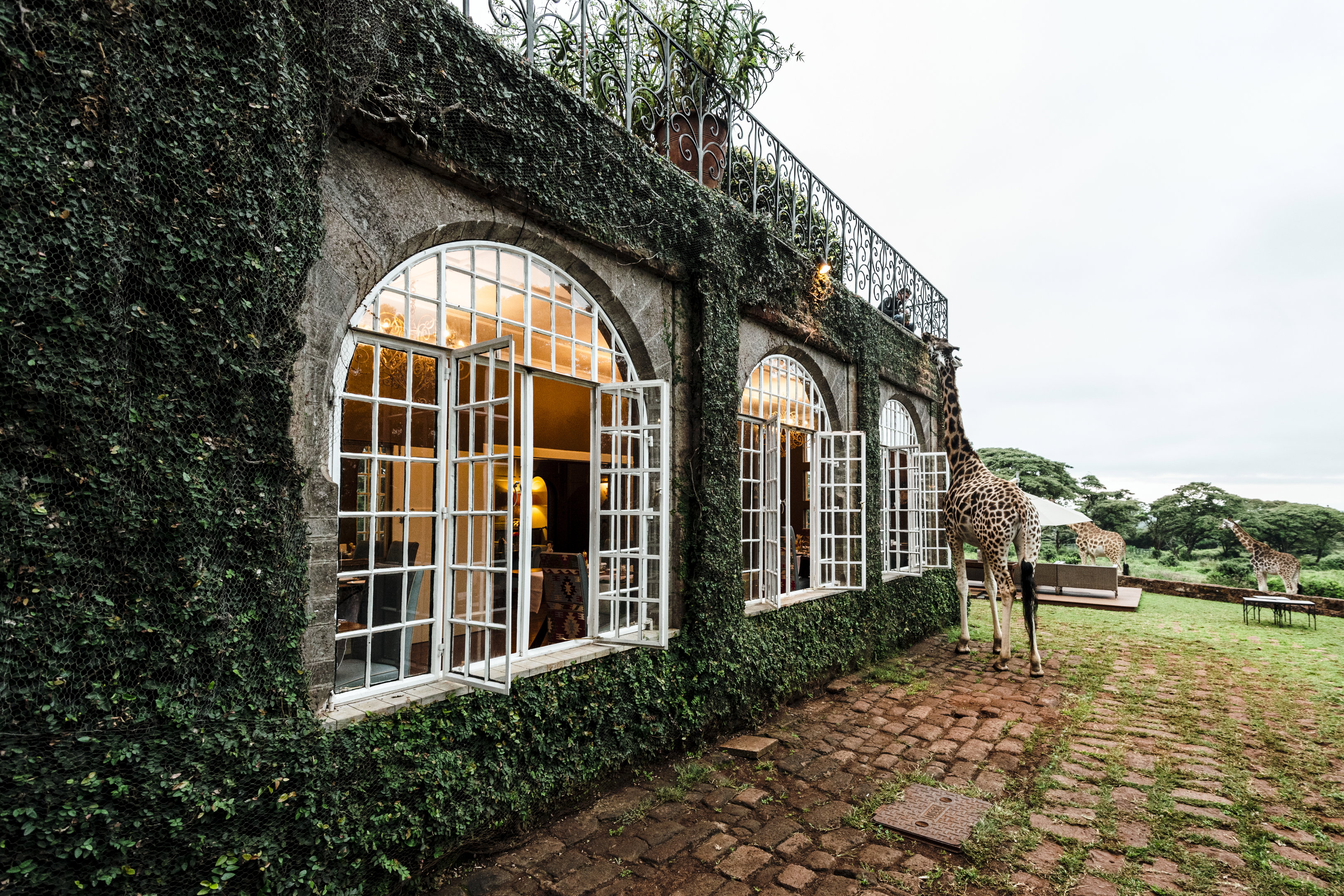 Giraffe Manor in Nairobi