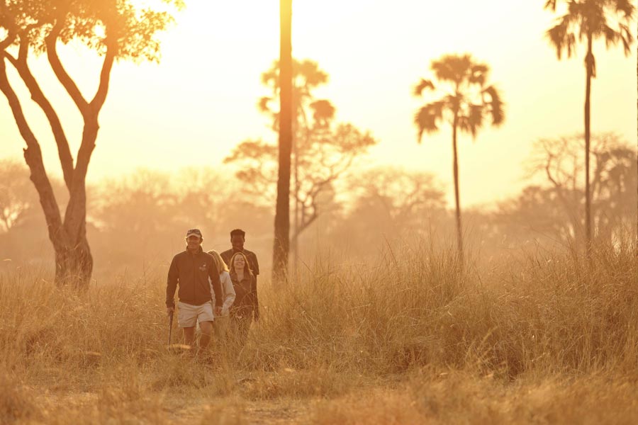 Kenya luxury safari destinations — Masai Mara, Amboseli elephants, and private conservancies