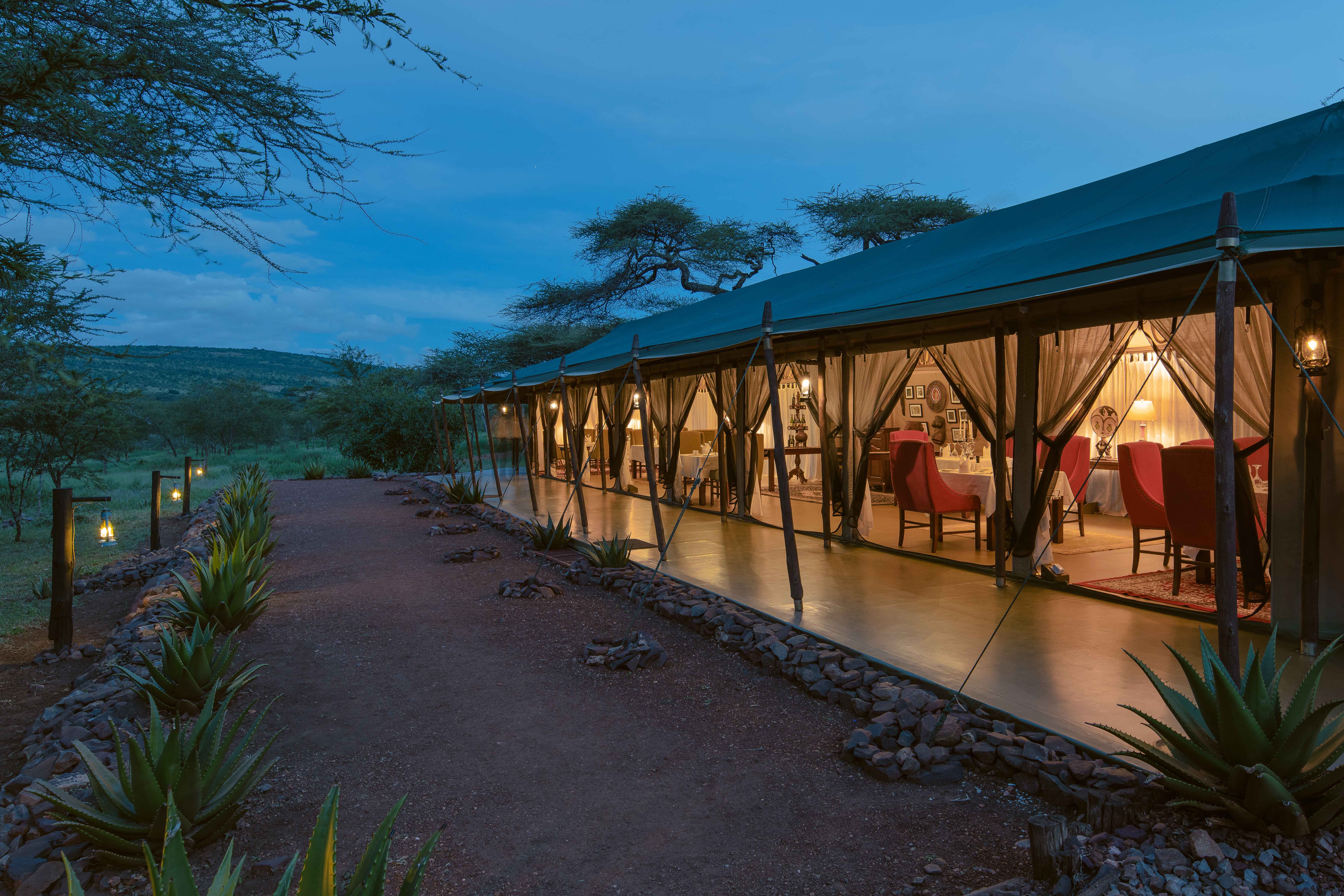 7-Day Elephants and Big Cat Trail — Luxury Honeymoon in Tanzania