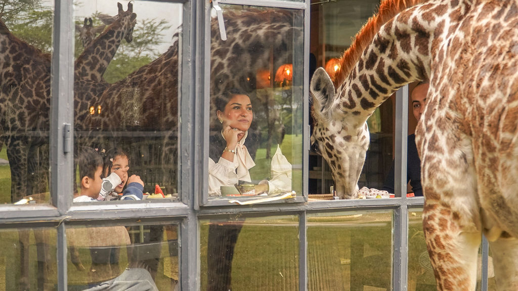 Guests having breakfast as giraffes visit at Giraffe Manor Tanzania
