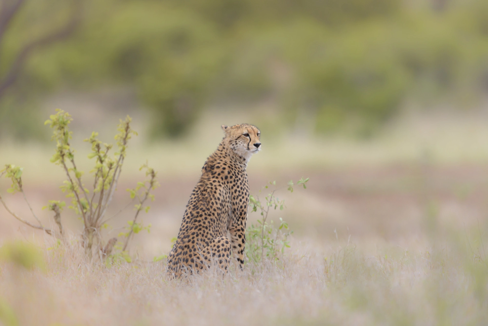 Southern Tanzania