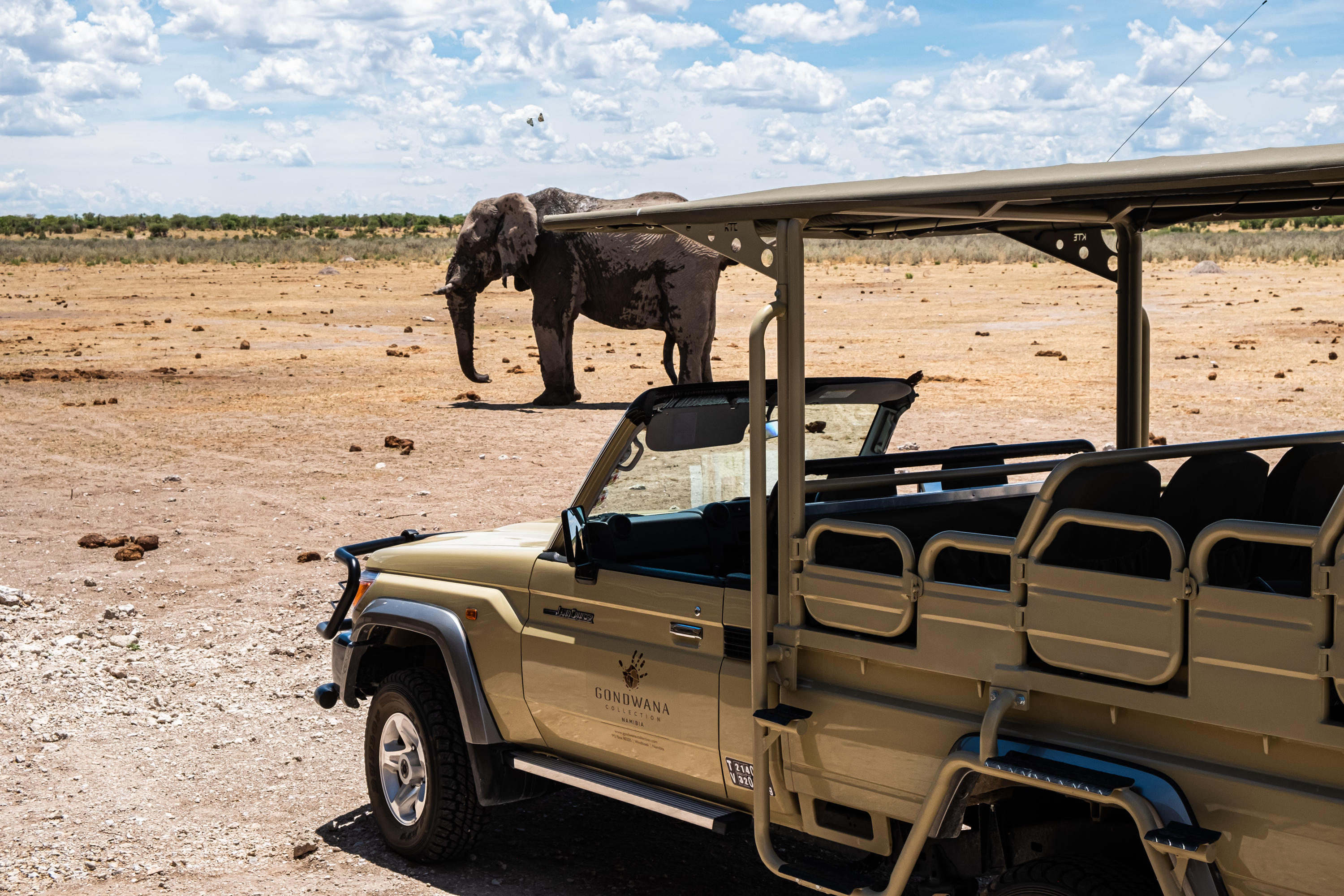 Luxury Etosha Safari