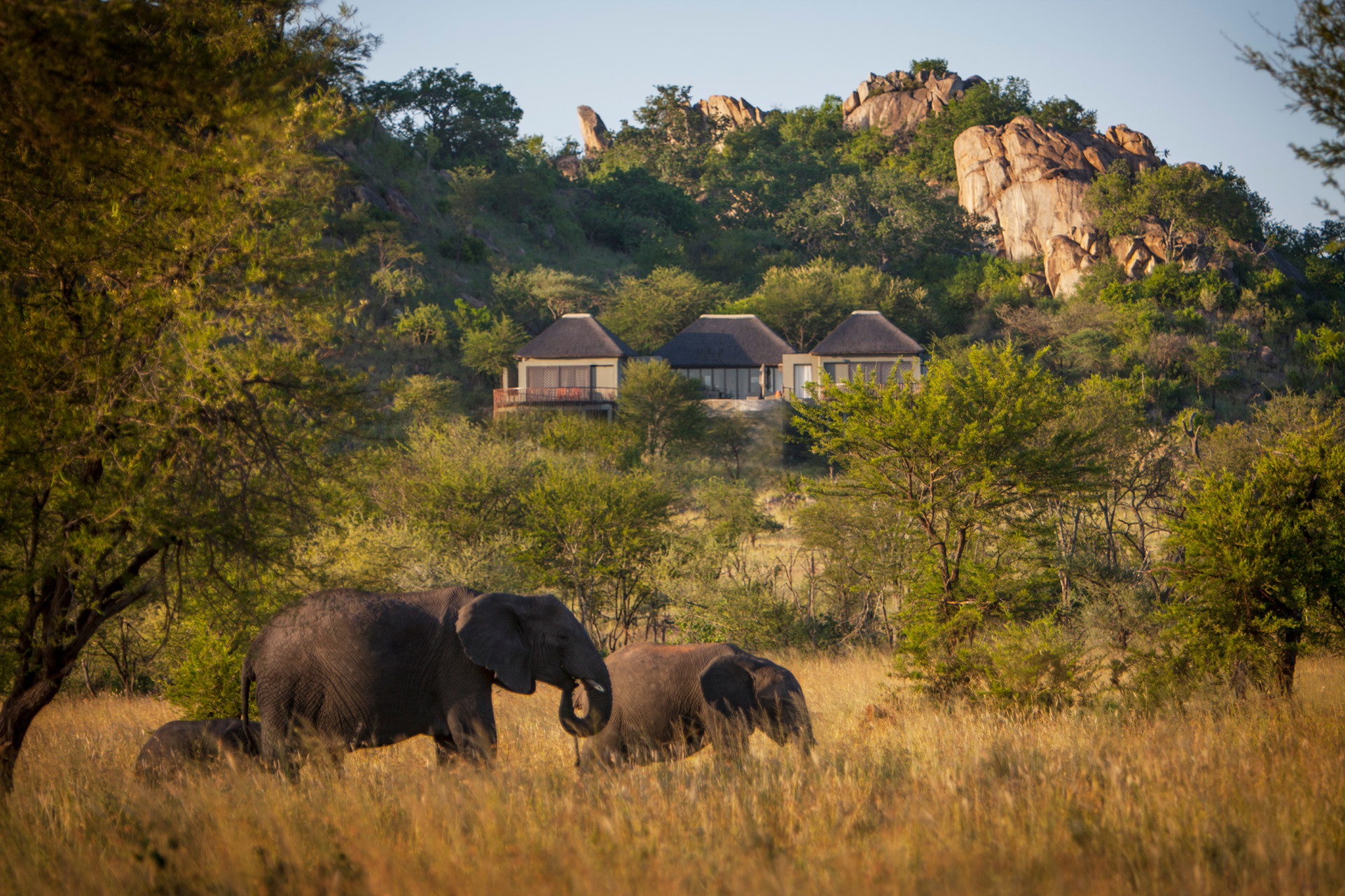 Villa exterior at Four Seasons Safari Lodge Serengeti