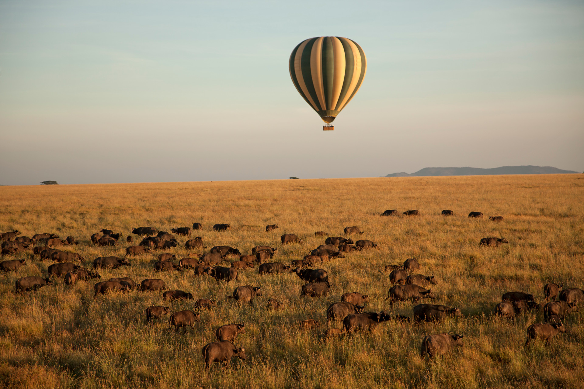 Hot-air balloon experience over the Serengeti