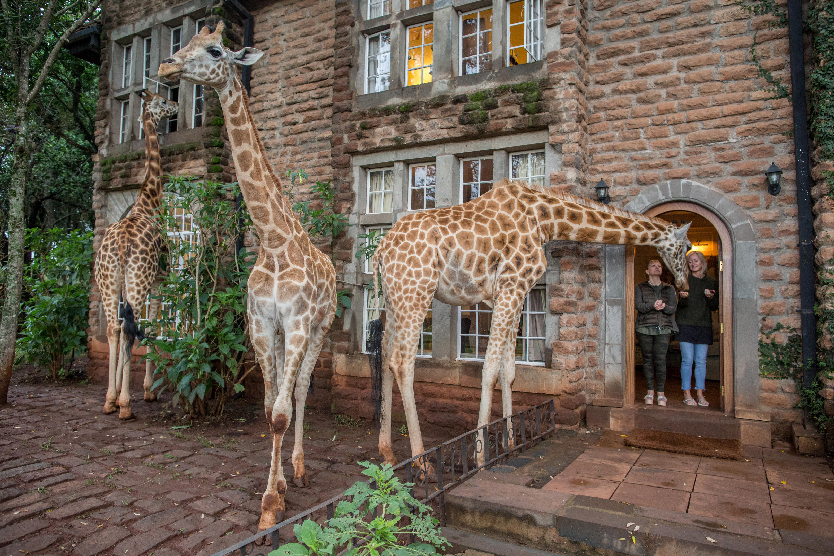 Giraffe Manor Exterior