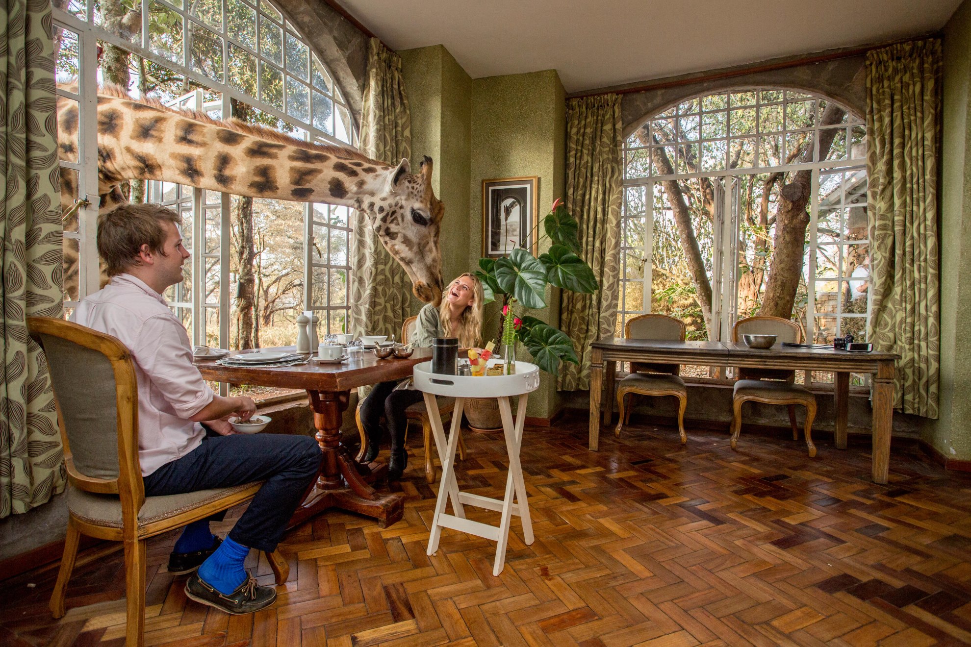 Giraffe Manor – iconic Nairobi hotel where giraffes visit during breakfast