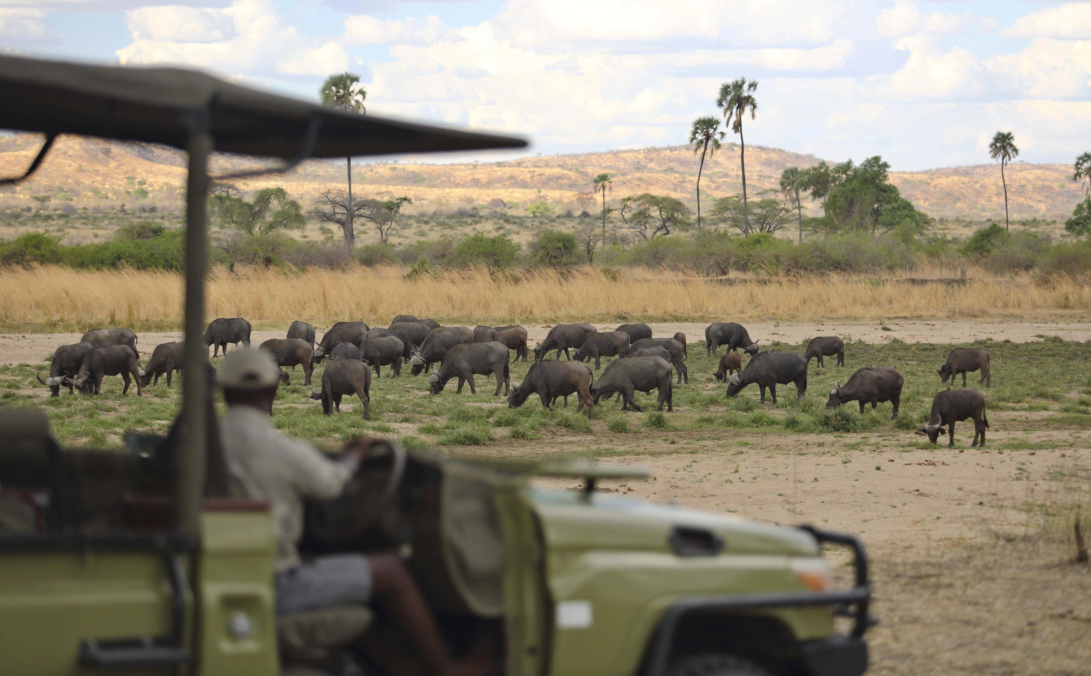 7-day Tanzania honeymoon safari Serengeti Ngorongoro