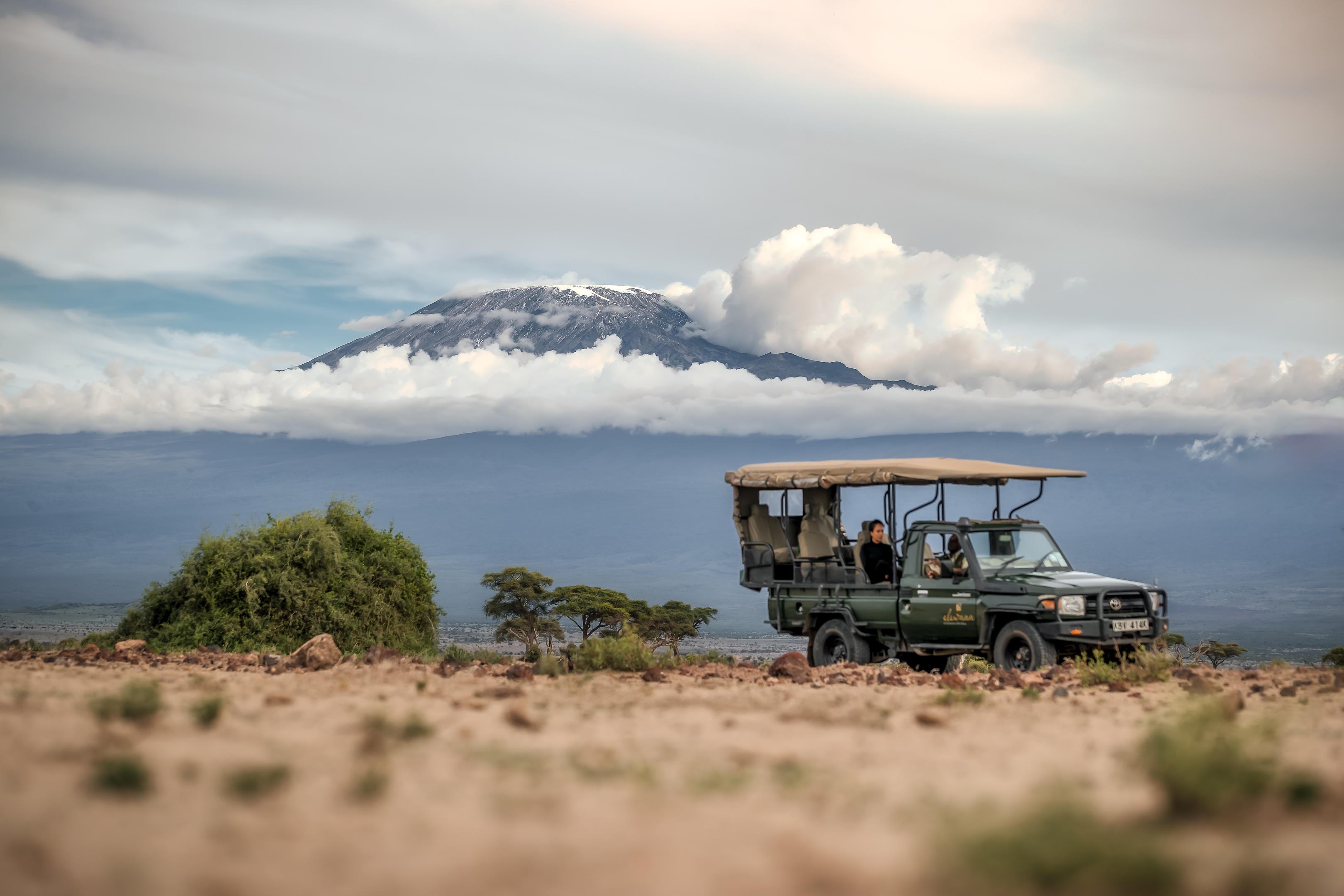 Amboseli National Park — Elephants beneath Kilimanjaro