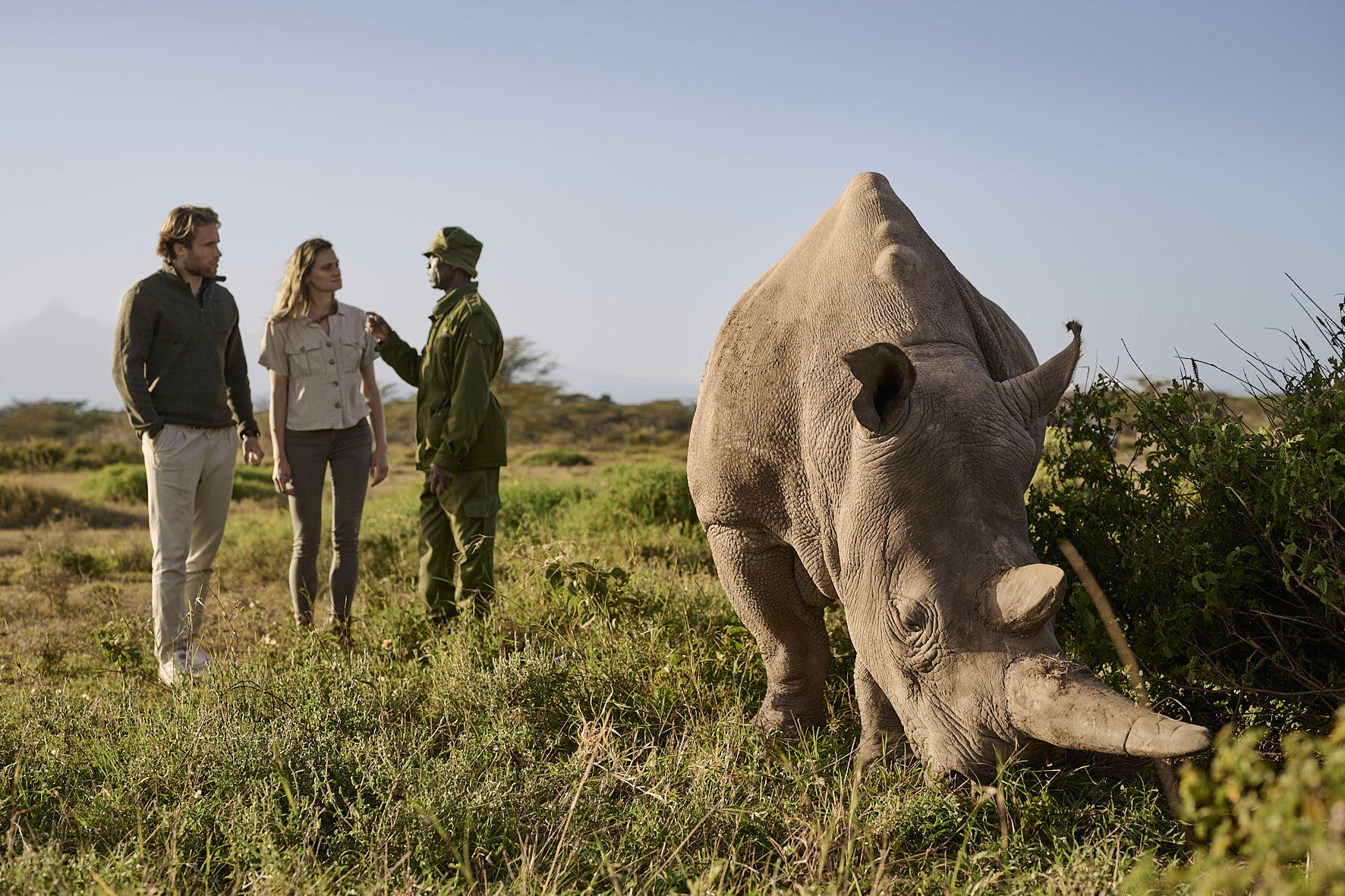 Rhino grazing in the Ol Pejeta Conservancy