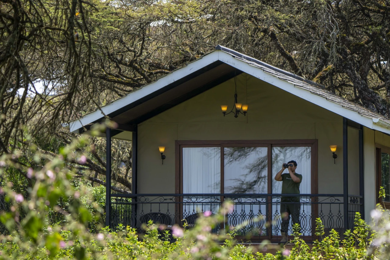 Private tent veranda at Lion's Paw Camp in Ngorongoro