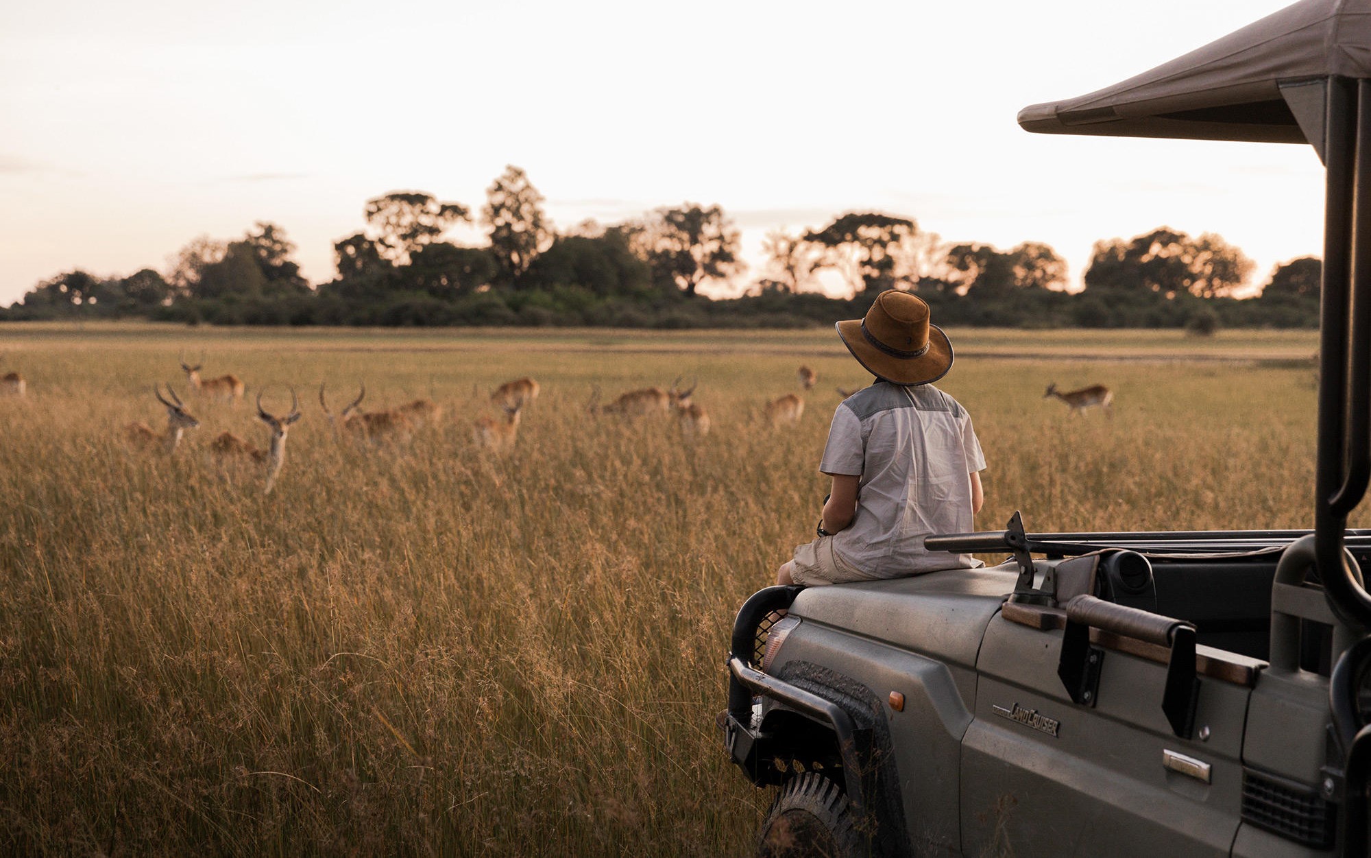 Luxury Botswana safari