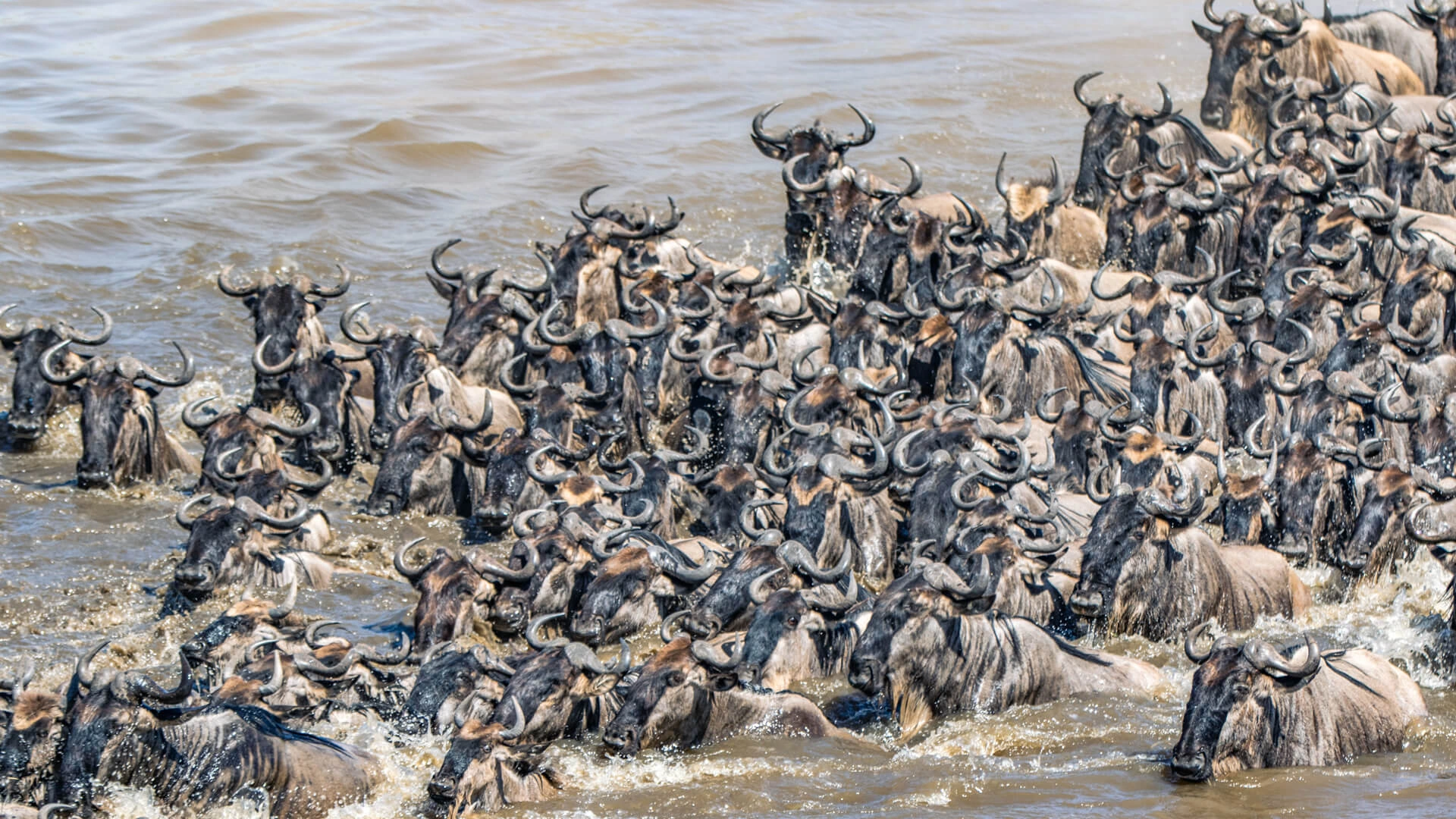 8-day Tanzania Great Migration safari