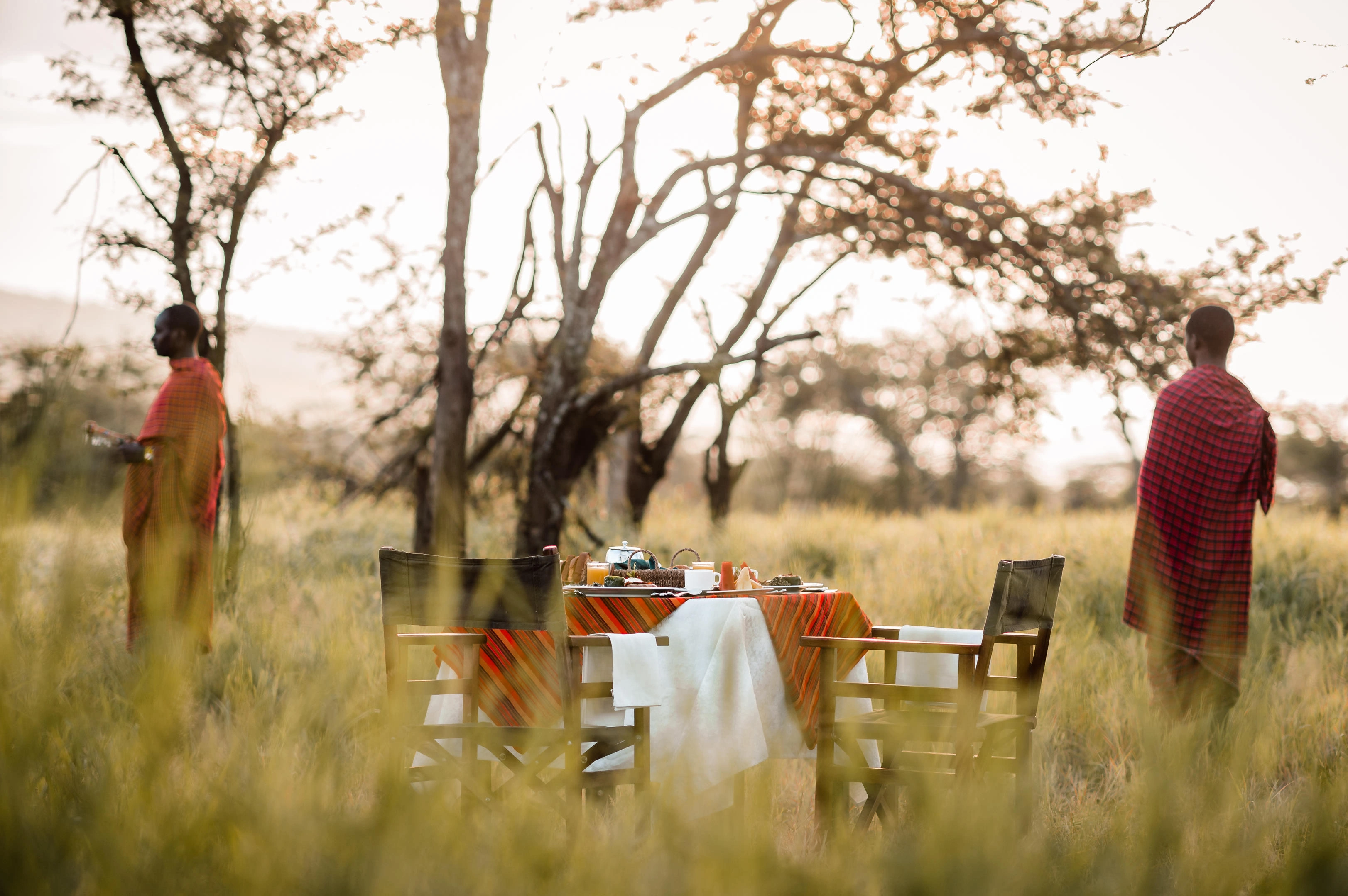 Migration season atmosphere in the north: river corridors and big skies