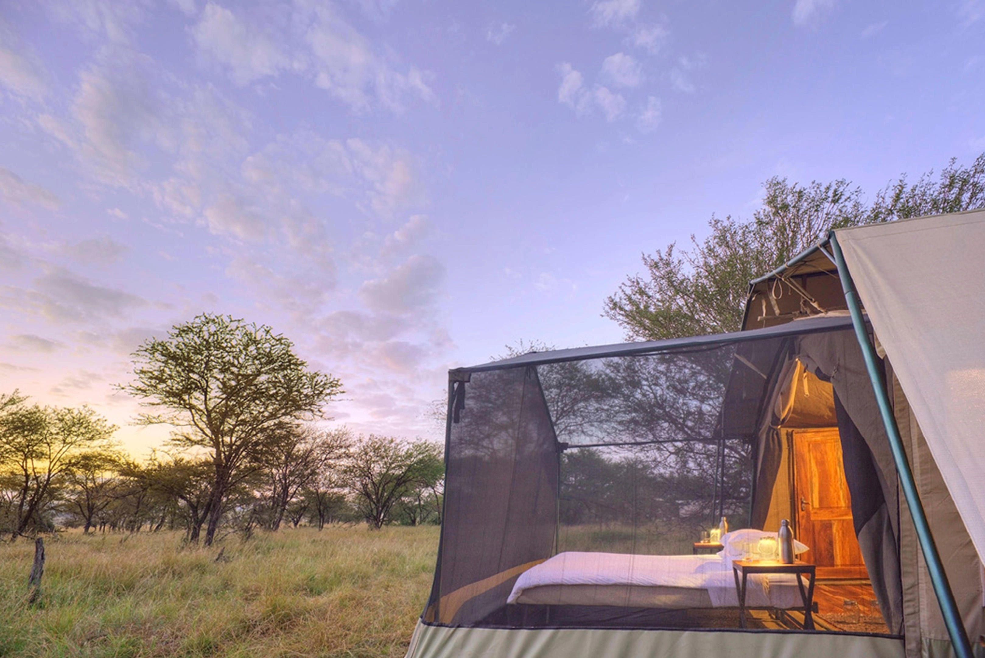 Masai Mara migration season landscape: golden grasslands and wide safari skies