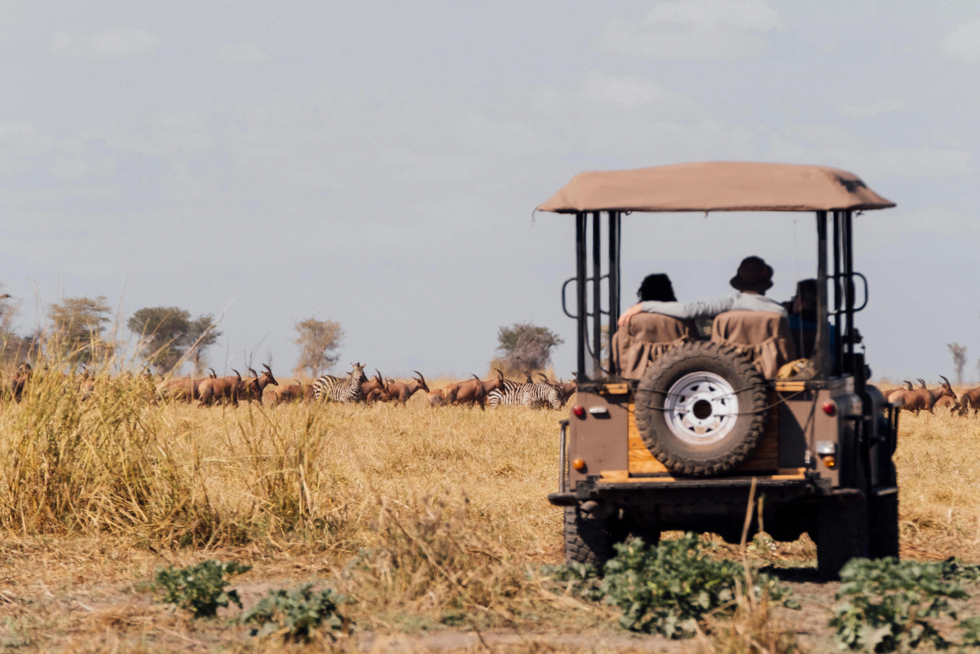 Northern Serengeti plains near Kogatende in migration season: open landscapes and safari skies
