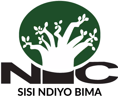National Insurance Corporation Tanzania logo