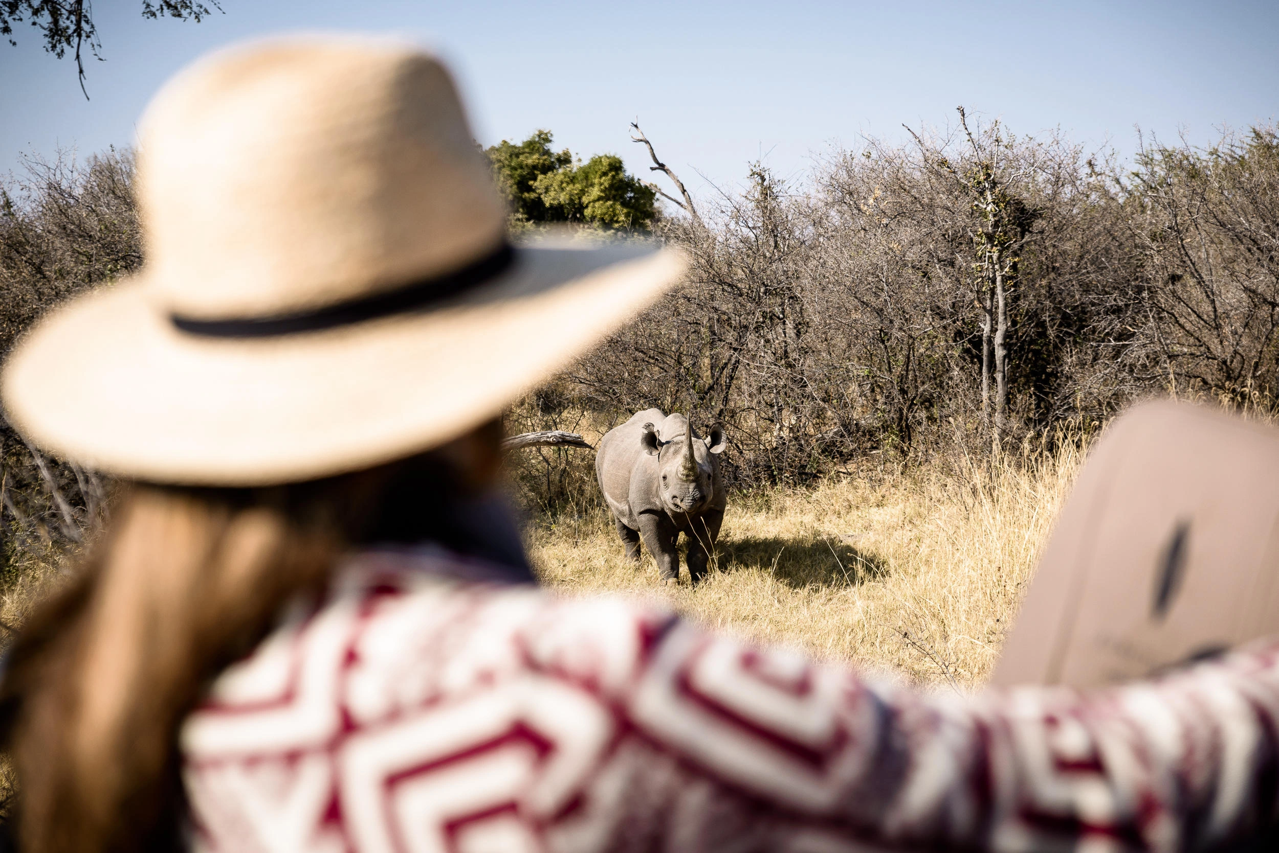 Luxury safari planning in Tanzania with wildlife scenery