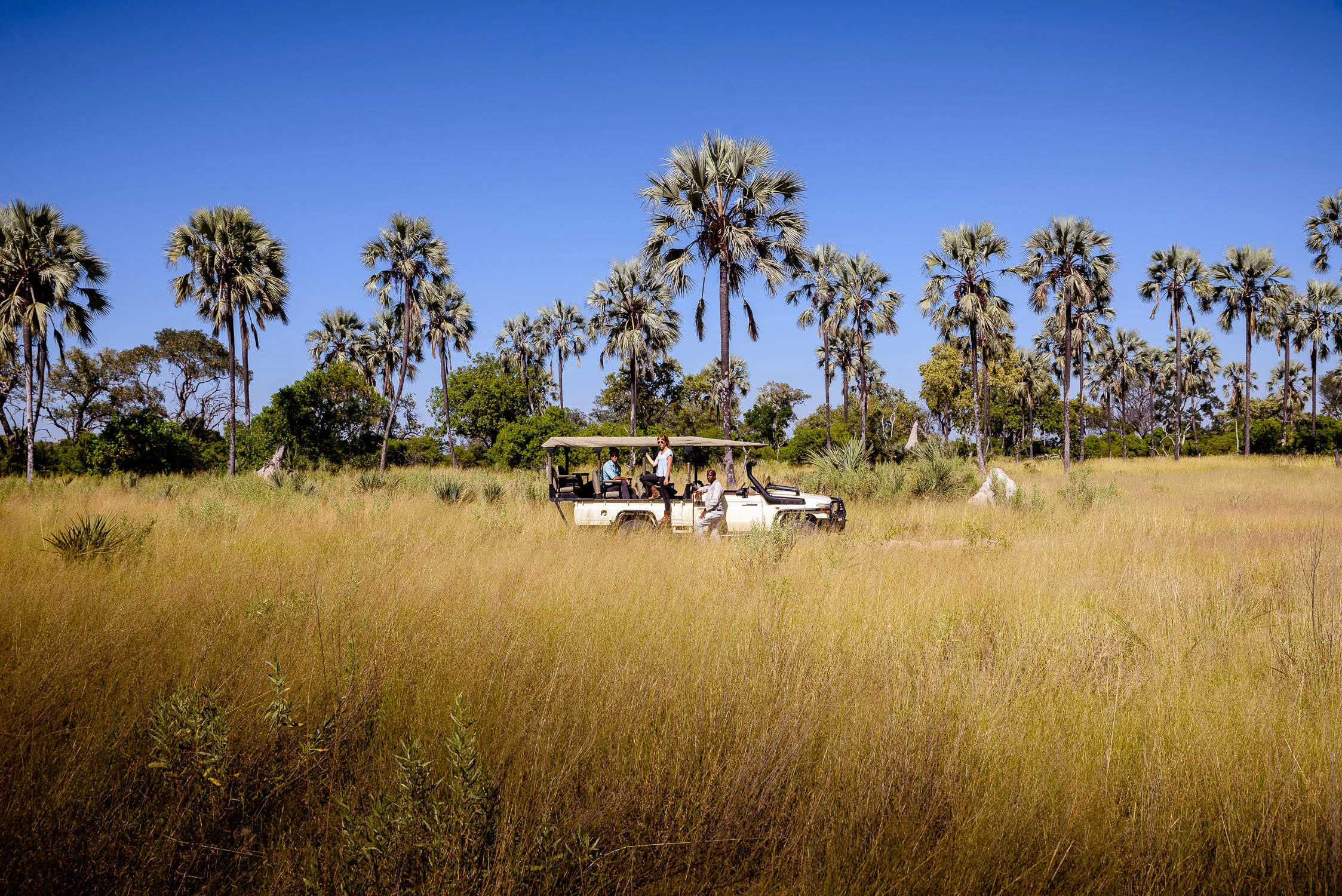 Tanzania luxury safaris & beyond gallery image 3