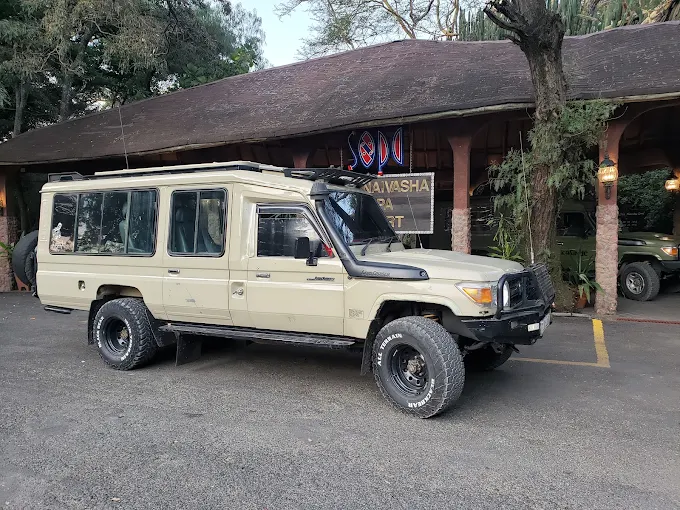 Kenya wildlife safari: Amboseli elephants and Masai Mara big cats