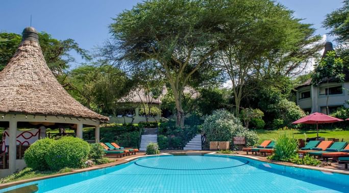 2-Day Tarangire & Ngorongoro Group Lodge Safari