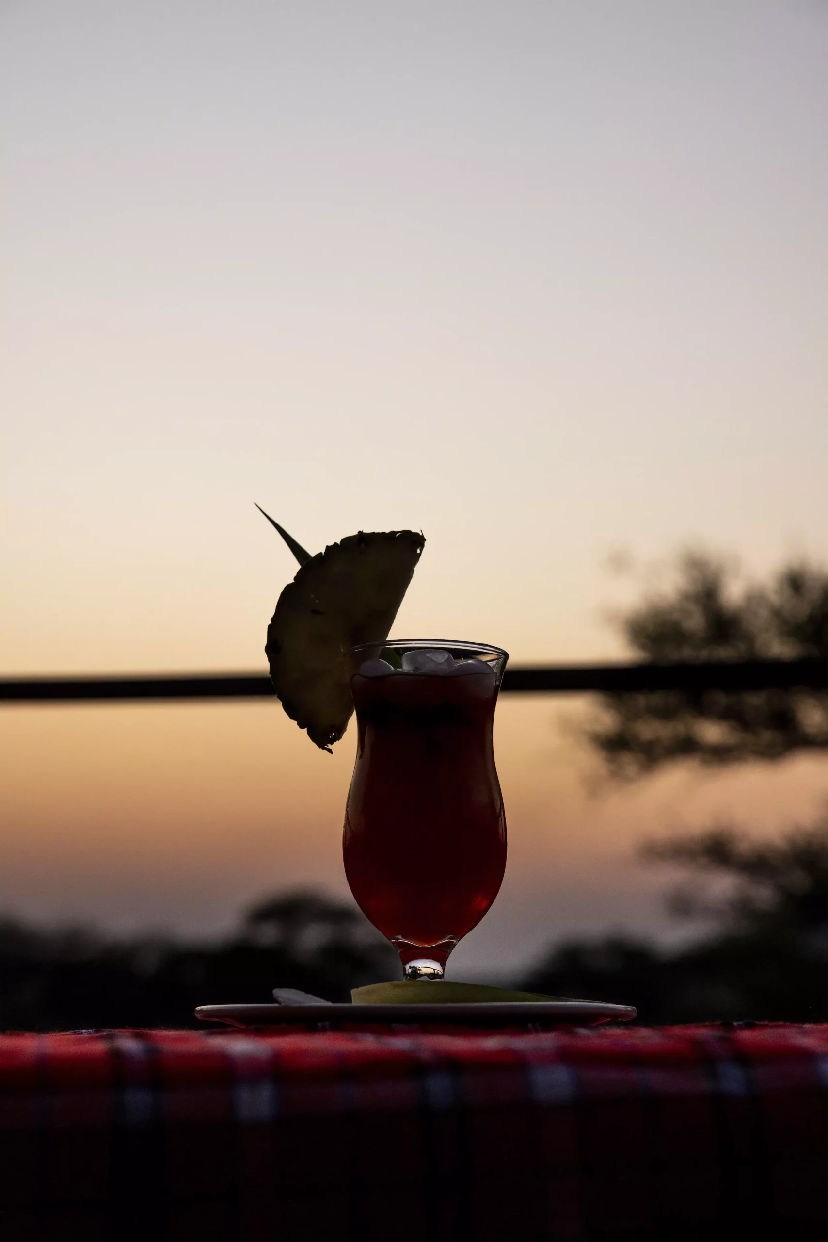 Sunset drinks in the Serengeti
