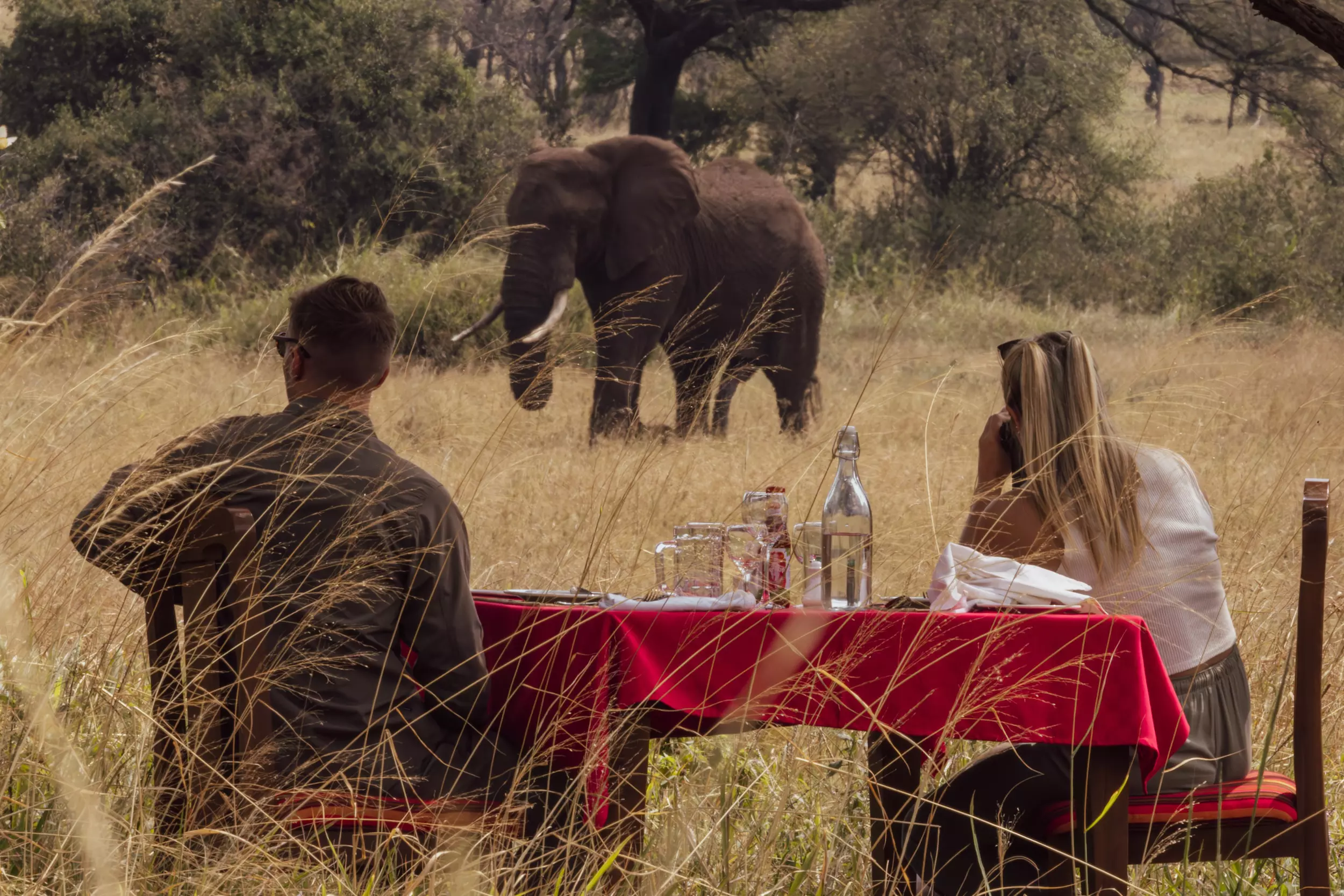 Serengeti safari on the 13 Days Private Tanzania Luxury Safari & Zanzibar itinerary