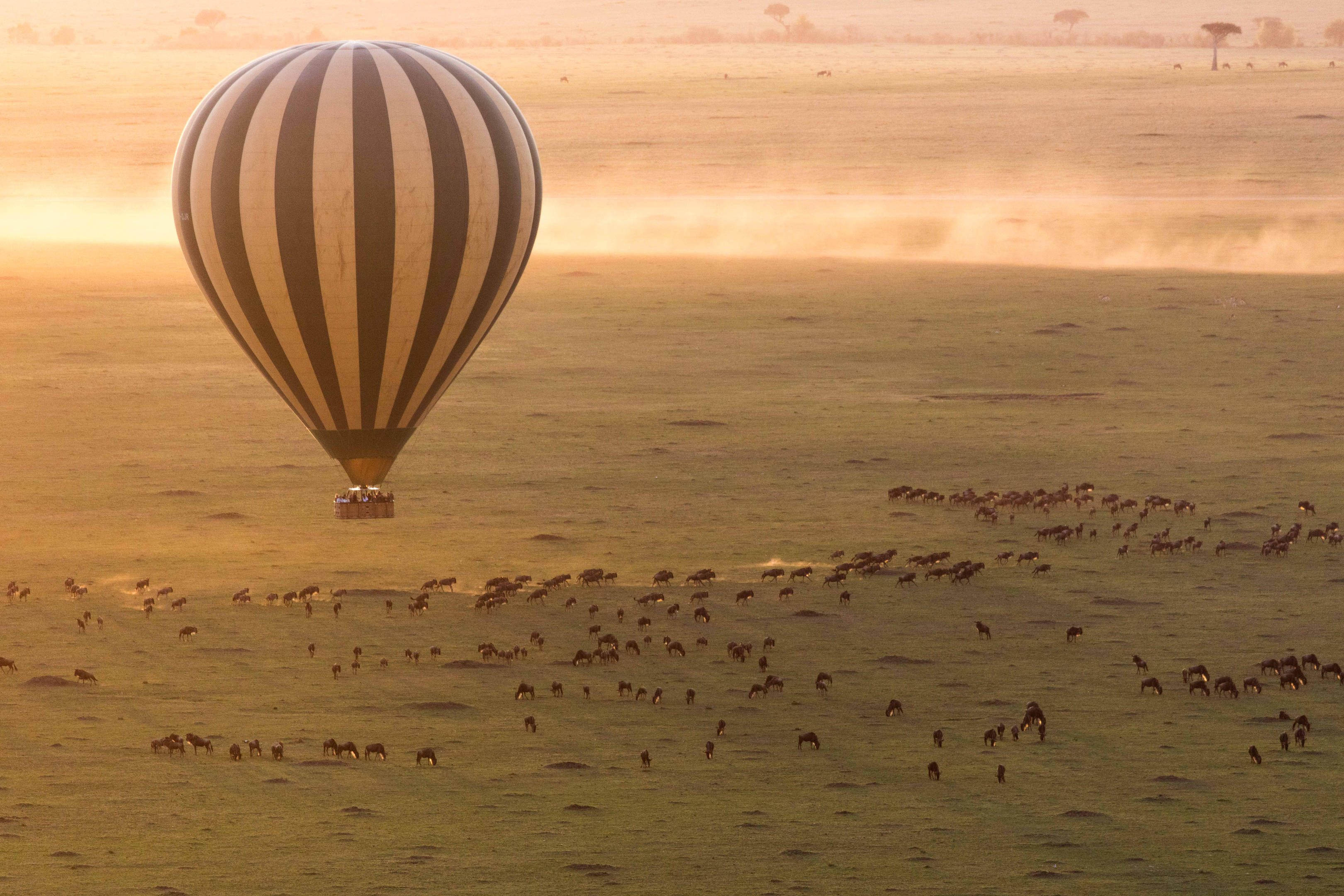 Serengeti safari on the 9 Days Private Tanzania Luxury Safari itinerary