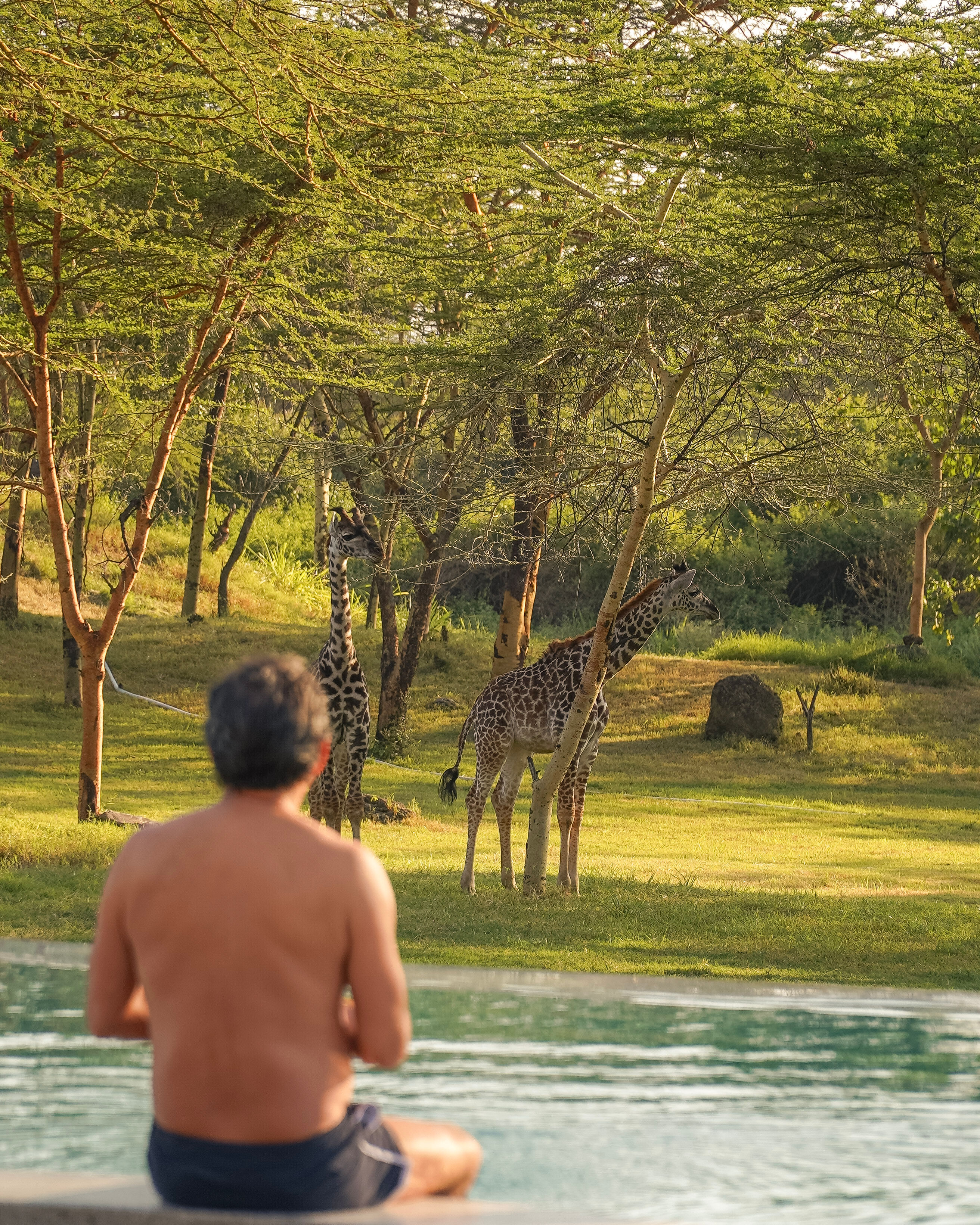 Giraffe Manor Arusha arrival experience