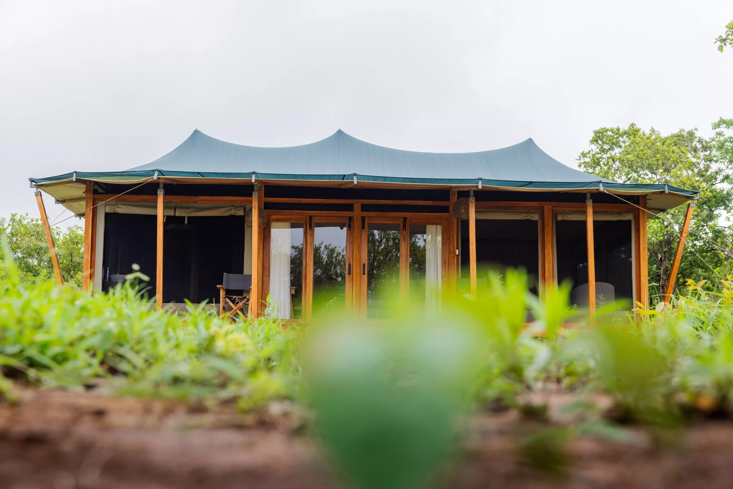Tarangire safari on the 13 Days Private Tanzania Luxury Safari & Zanzibar itinerary
