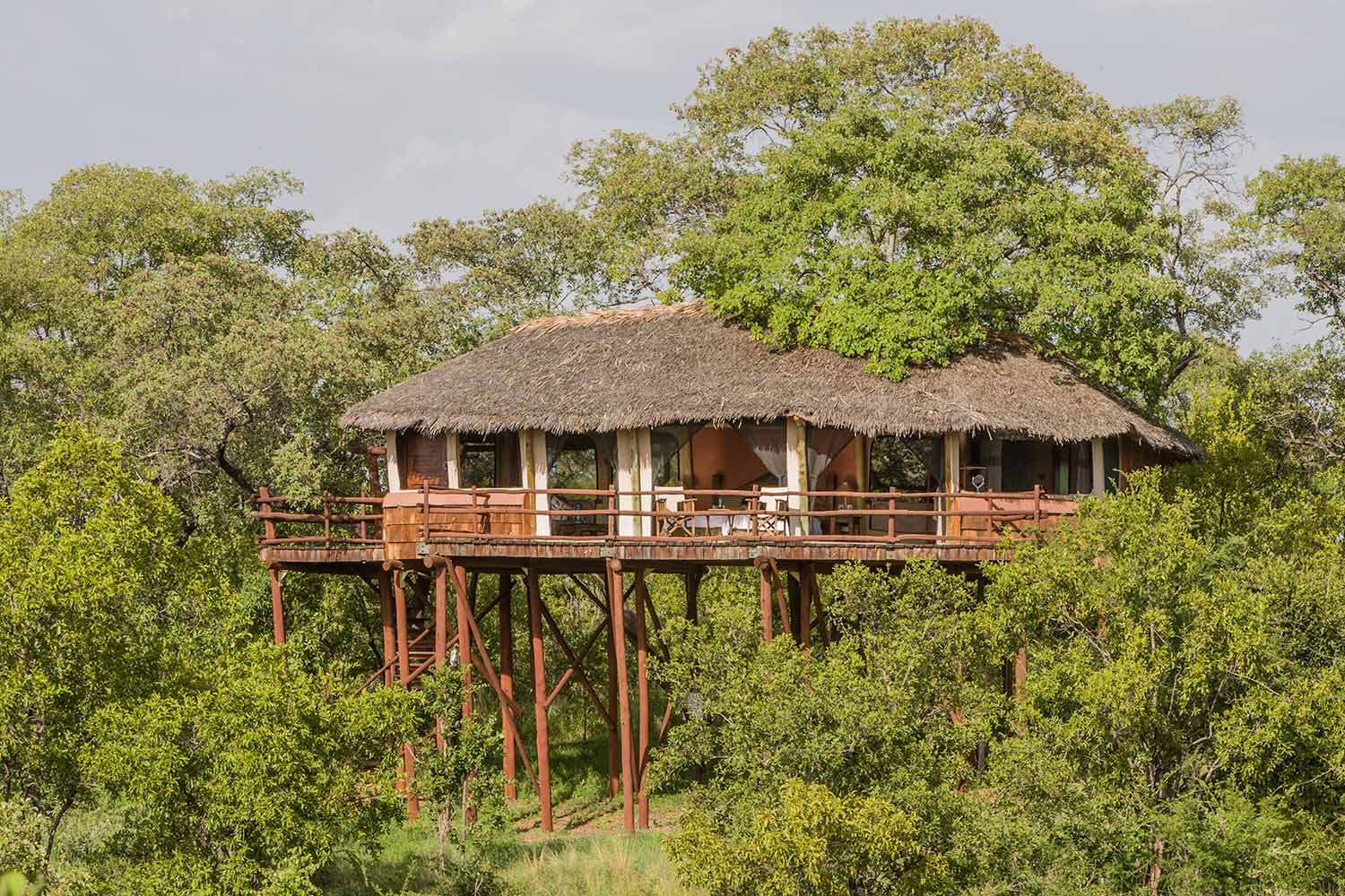 Treetop lodge setting in Tarangire