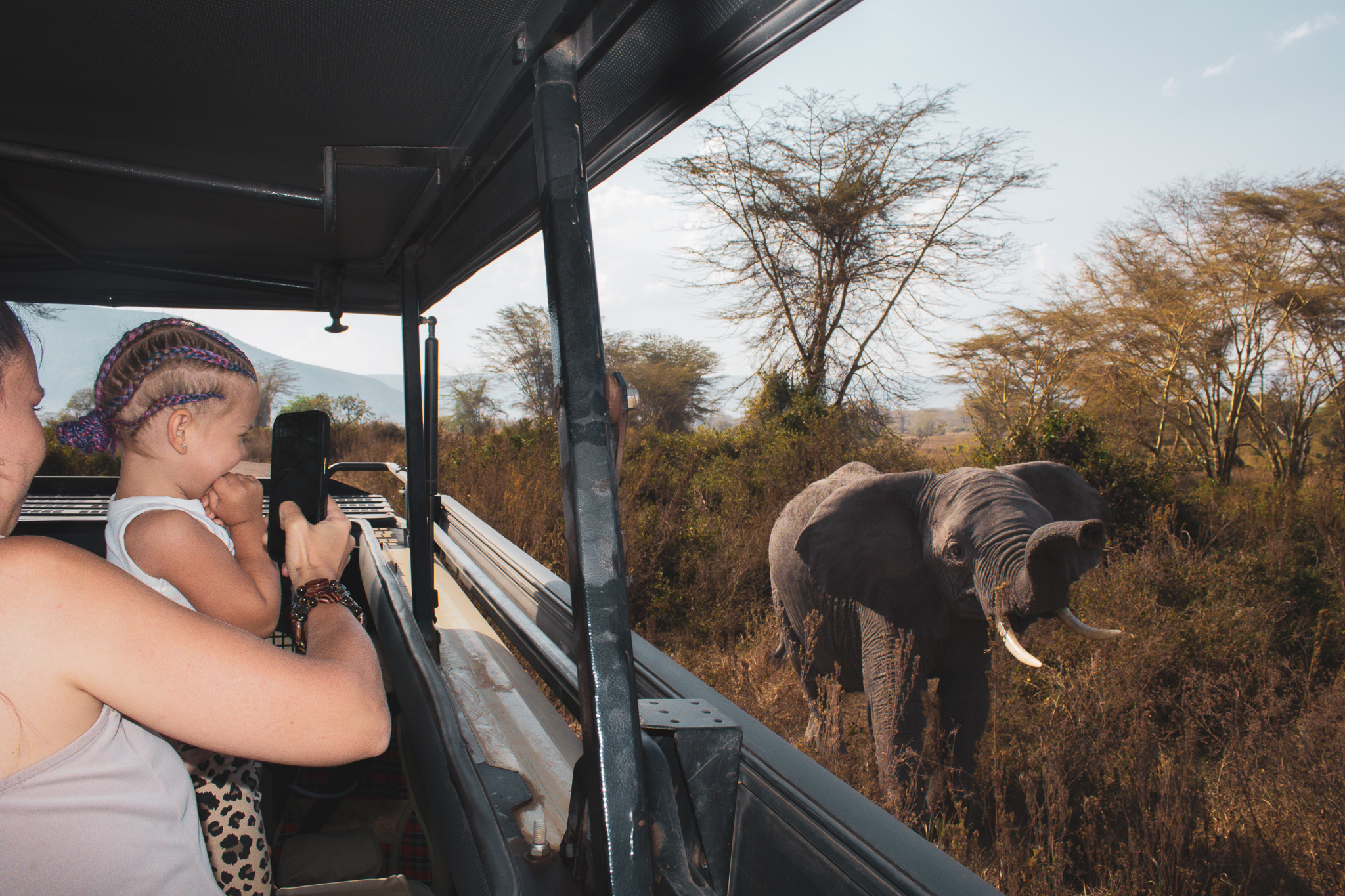 Family seeing an elephant from a private safari vehicle