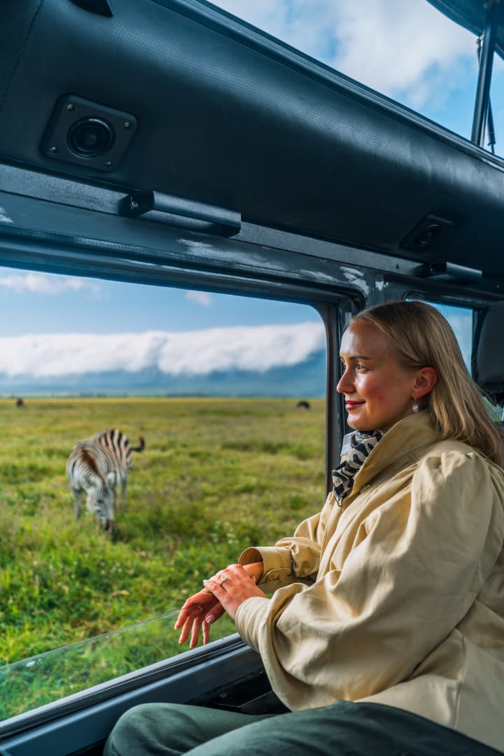 Guest watching a zebra through the open window of a safari vehicle