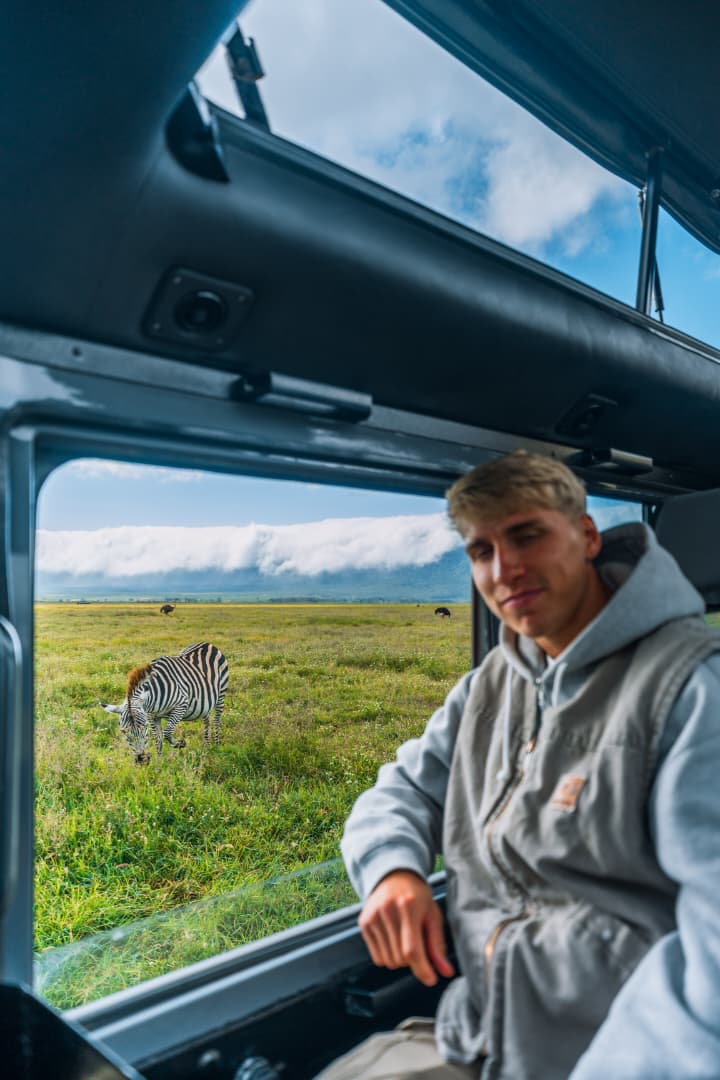Guest inside a safari vehicle watching a zebra on the plains