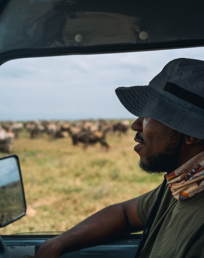 Safari guide looking across the plains from a private vehicle