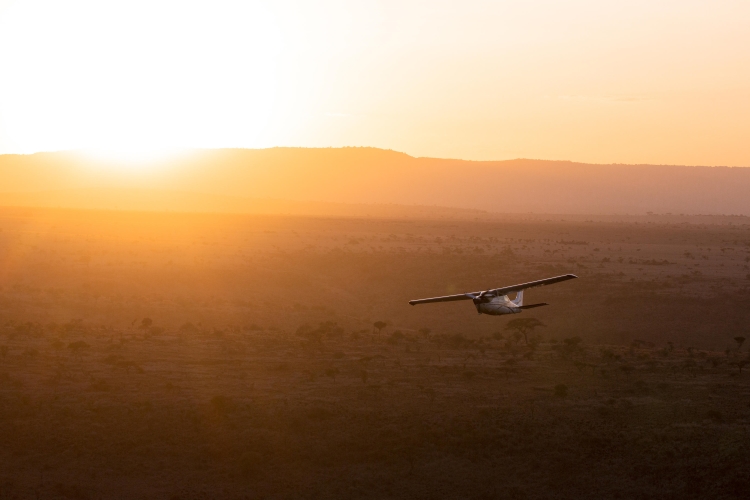 Why choose The Luxury Africa DMC