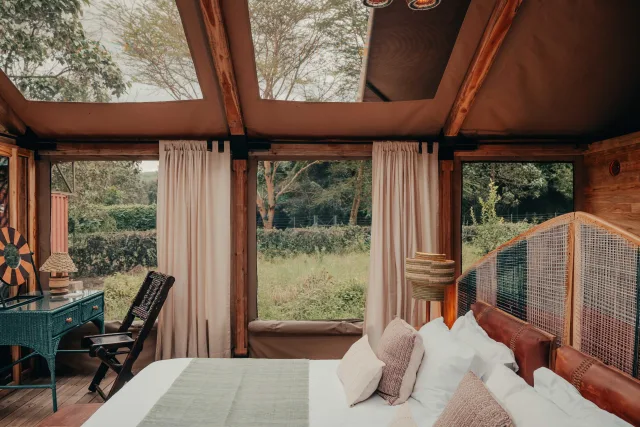 Exceptional Food, Beautiful Lodges and Serious Wildlife Viewing