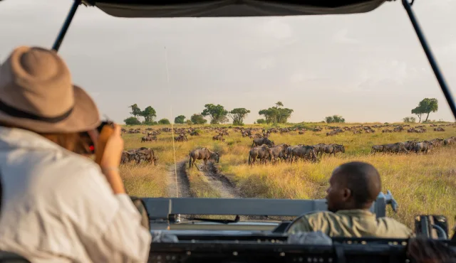 Exceptional Food, Beautiful Lodges and Serious Wildlife Viewing