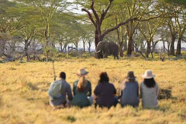 Exceptional Food, Beautiful Lodges and Serious Wildlife Viewing