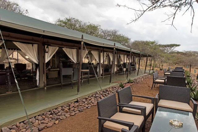 Tanzania Safari with Comfortable Lodges and Tented Camps